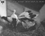 Capi_Dubne_20250718_213503.jpg