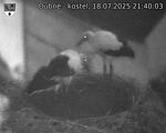 Capi_Dubne_20250718_214003.jpg
