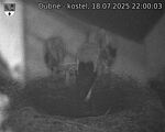 Capi_Dubne_20250718_220003.jpg
