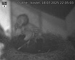 Capi_Dubne_20250718_220503.jpg