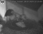 Capi_Dubne_20250718_221503.jpg