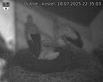 Capi_Dubne_20250718_223503.jpg