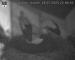 Capi_Dubne_20250718_224002.jpg