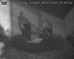 Capi_Dubne_20250718_224502.jpg