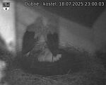 Capi_Dubne_20250718_230003.jpg