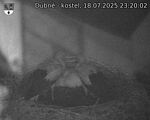 Capi_Dubne_20250718_232002.jpg