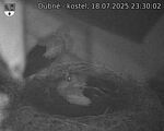 Capi_Dubne_20250718_233002.jpg