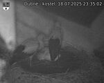 Capi_Dubne_20250718_233502.jpg