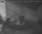 Capi_Dubne_20250718_234003.jpg