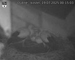 Capi_Dubne_20250719_001503.jpg