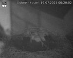 Capi_Dubne_20250719_002002.jpg