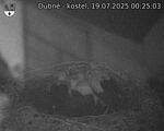 Capi_Dubne_20250719_002503.jpg