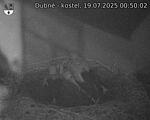 Capi_Dubne_20250719_005002.jpg
