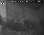 Capi_Dubne_20250719_011002.jpg