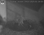 Capi_Dubne_20250719_012003.jpg