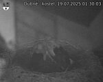 Capi_Dubne_20250719_013003.jpg