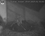 Capi_Dubne_20250719_015503.jpg