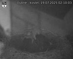 Capi_Dubne_20250719_021003.jpg