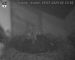 Capi_Dubne_20250719_021502.jpg