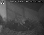 Capi_Dubne_20250719_023502.jpg
