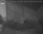 Capi_Dubne_20250719_025002.jpg