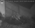 Capi_Dubne_20250719_030002.jpg