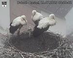 Capi_Dubne_20250719_082002.jpg
