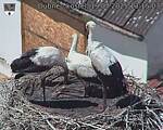 Capi_Dubne_20250719_131503.jpg