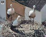 Capi_Dubne_20250719_171005.jpg