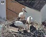 Capi_Dubne_20250719_172004.jpg