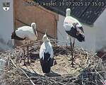 Capi_Dubne_20250719_173503.jpg