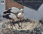 Capi_Dubne_20250719_175003.jpg