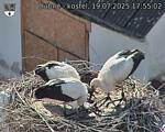 Capi_Dubne_20250719_175502.jpg