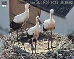 Capi_Dubne_20250719_183002.jpg