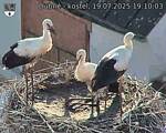 Capi_Dubne_20250719_191003.jpg
