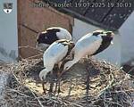 Capi_Dubne_20250719_193003.jpg