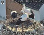 Capi_Dubne_20250719_193503.jpg