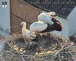 Capi_Dubne_20250719_195003.jpg