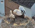 Capi_Dubne_20250719_195502.jpg