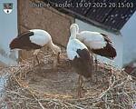 Capi_Dubne_20250719_201503.jpg