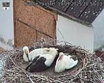 Capi_Dubne_20250719_205003.jpg