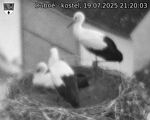 Capi_Dubne_20250719_212003.jpg