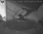 Capi_Dubne_20250719_214502.jpg