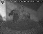 Capi_Dubne_20250719_220003.jpg