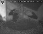 Capi_Dubne_20250719_220503.jpg