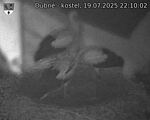 Capi_Dubne_20250719_221002.jpg
