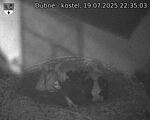 Capi_Dubne_20250719_223503.jpg