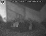 Capi_Dubne_20250719_224002.jpg