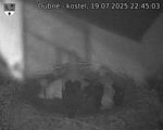 Capi_Dubne_20250719_224503.jpg