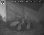 Capi_Dubne_20250719_230502.jpg